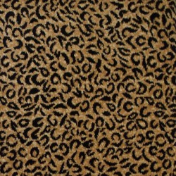 Wild Jaguar